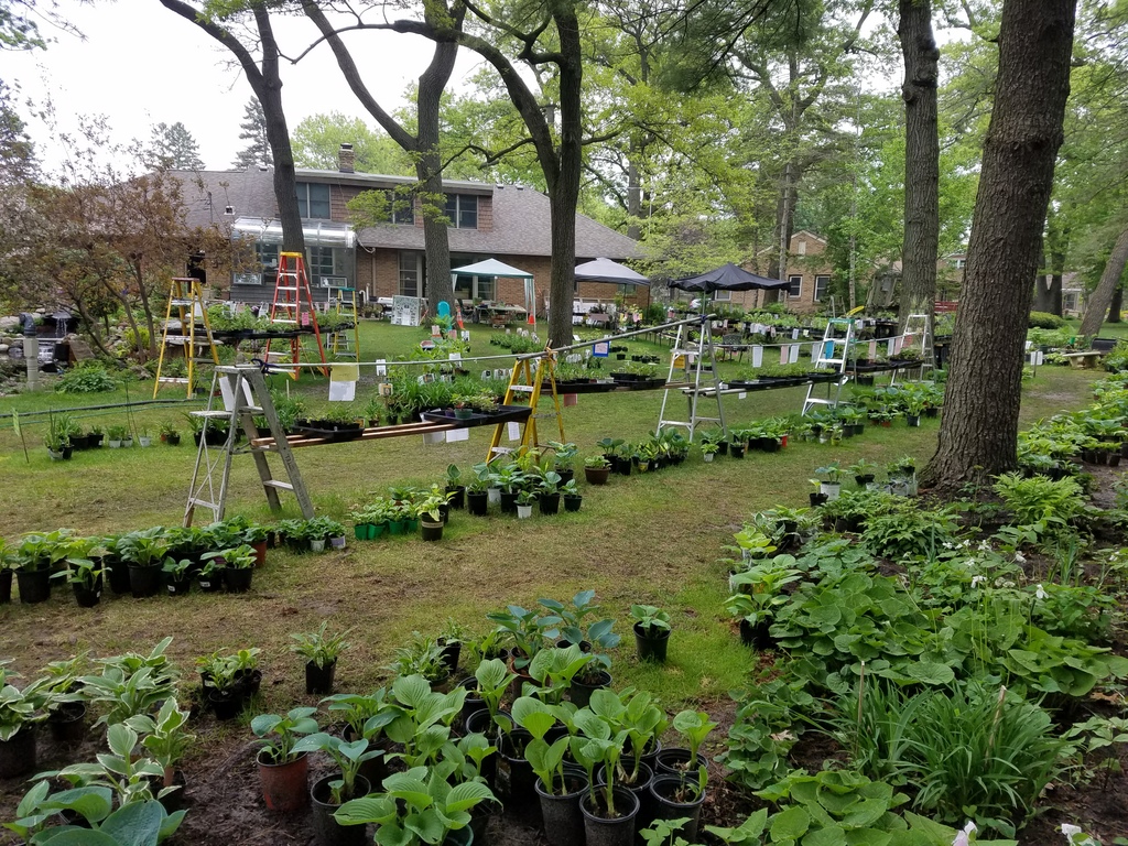 View during the 2020 Heart To Care Tanzania plant sale
