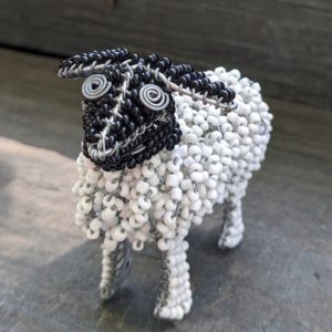 Sheep