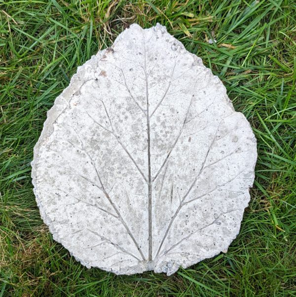 Stepping Stone 14