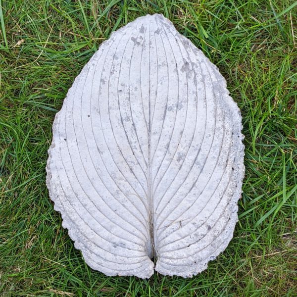 Stepping Stone 16