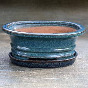 Bonsai Containers