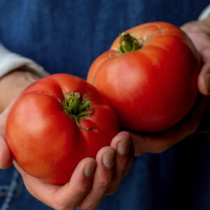 Tomato - Steak Sandwich
