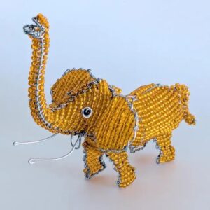 Elephant - Orange