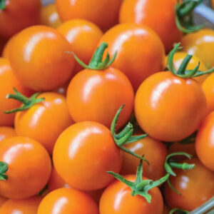 Tomato - Estericia Cherry